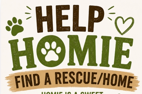Homie3.jpeg
